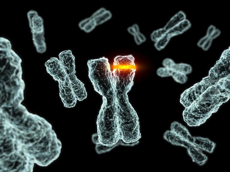 DNA Mutation